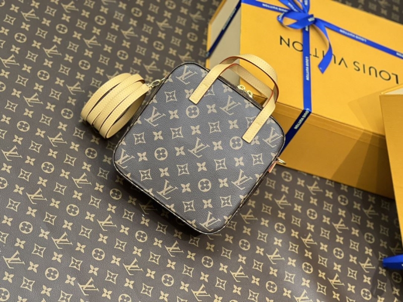 LV Cosmetic Bags